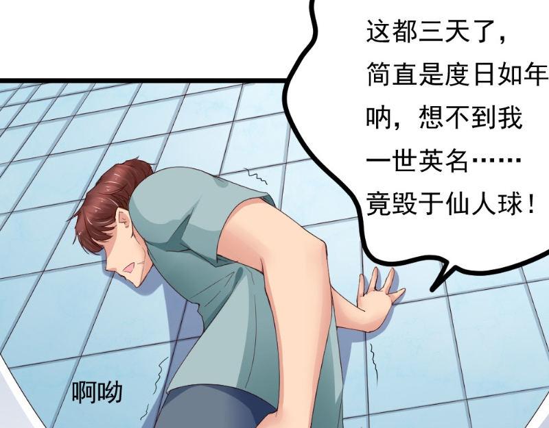 第23话 仙人球惹的祸(1/2)-第23话