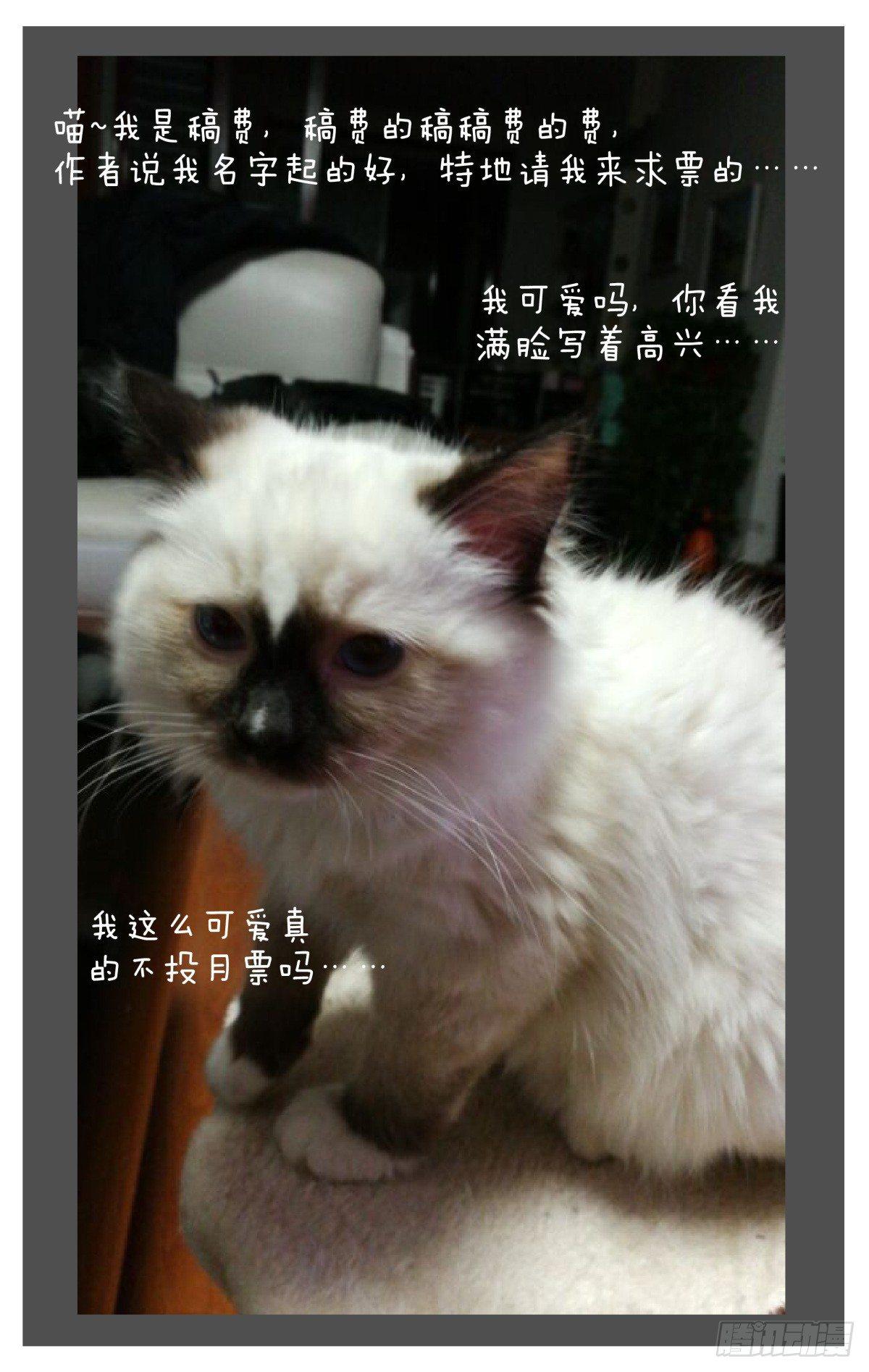 11.友谊第一裤子第二！-第13话