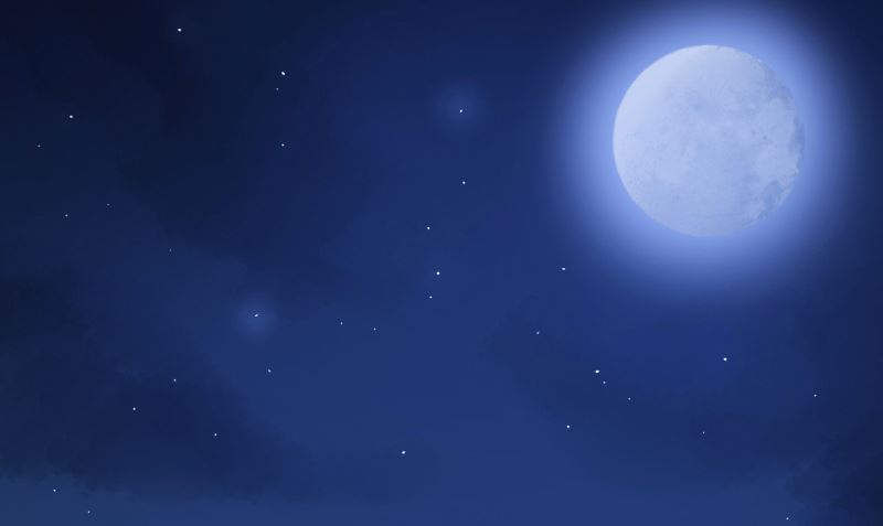 第9话 请君入瓮(1/2)-第9话