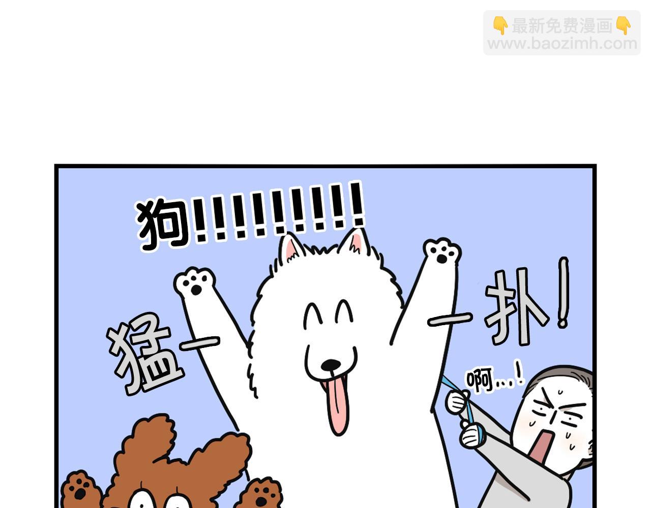 第10话 狗子也社交？(1/2)-第11话