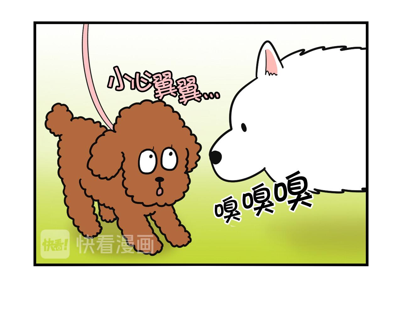 第10话 狗子也社交？(1/2)-第11话