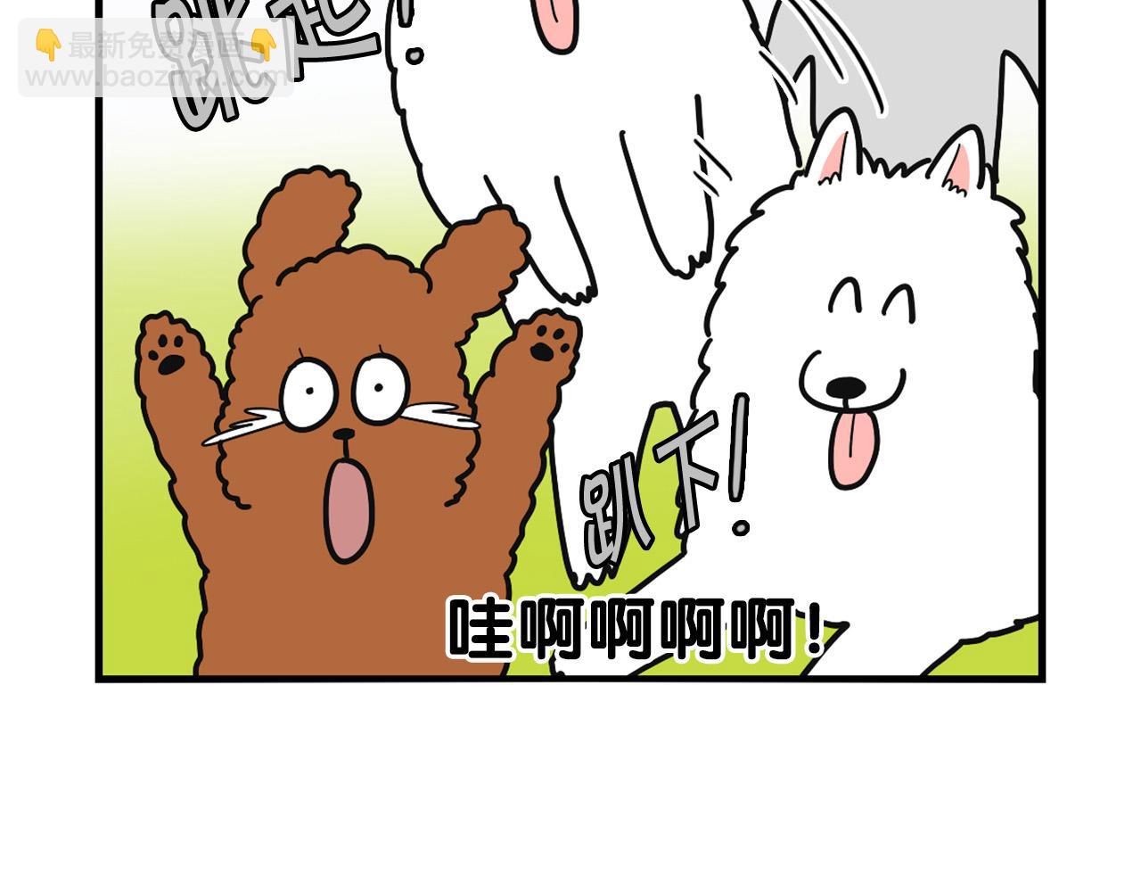 第10话 狗子也社交？(1/2)-第11话