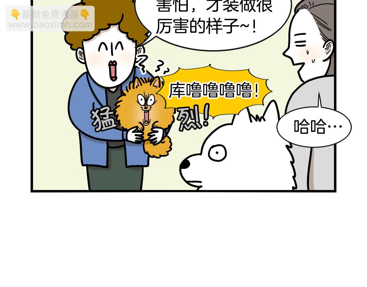 第10话 狗子也社交？(1/2)-第11话