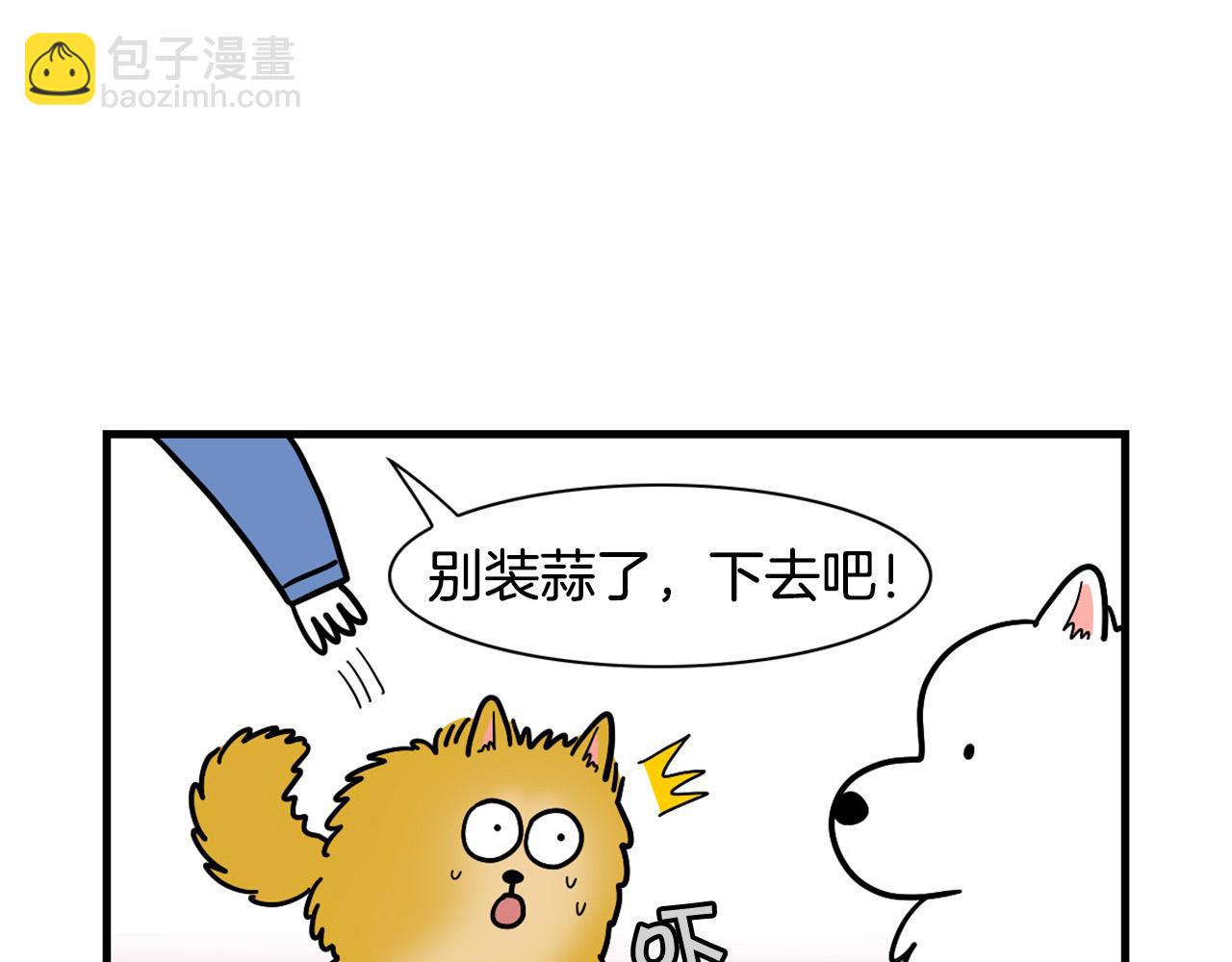 第10话 狗子也社交？(1/2)-第11话