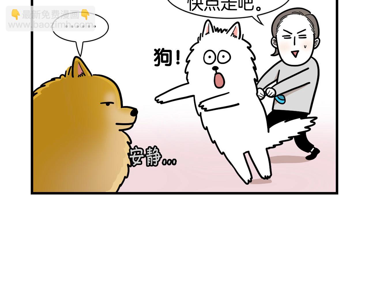 第10话 狗子也社交？(1/2)-第11话