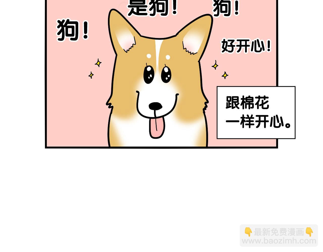 第10话 狗子也社交？(1/2)-第11话