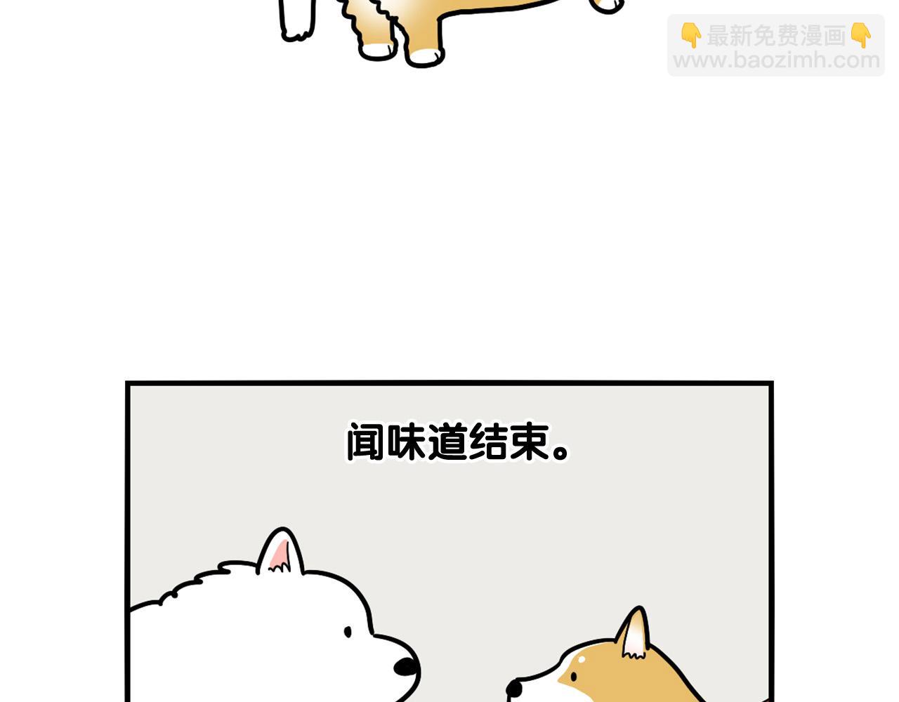 第10话 狗子也社交？(1/2)-第11话