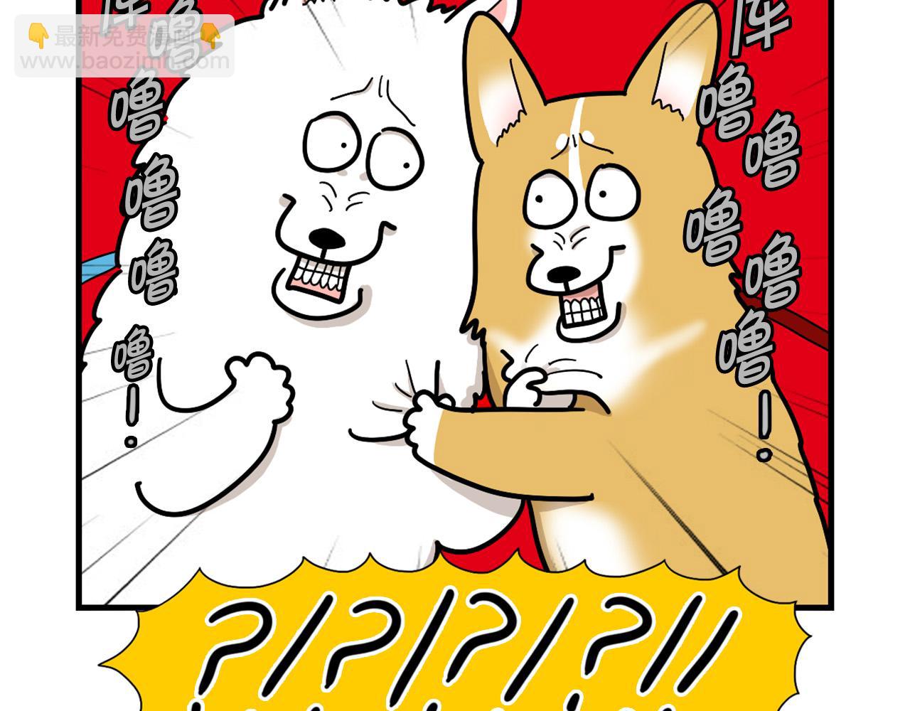 第10话 狗子也社交？(1/2)-第11话