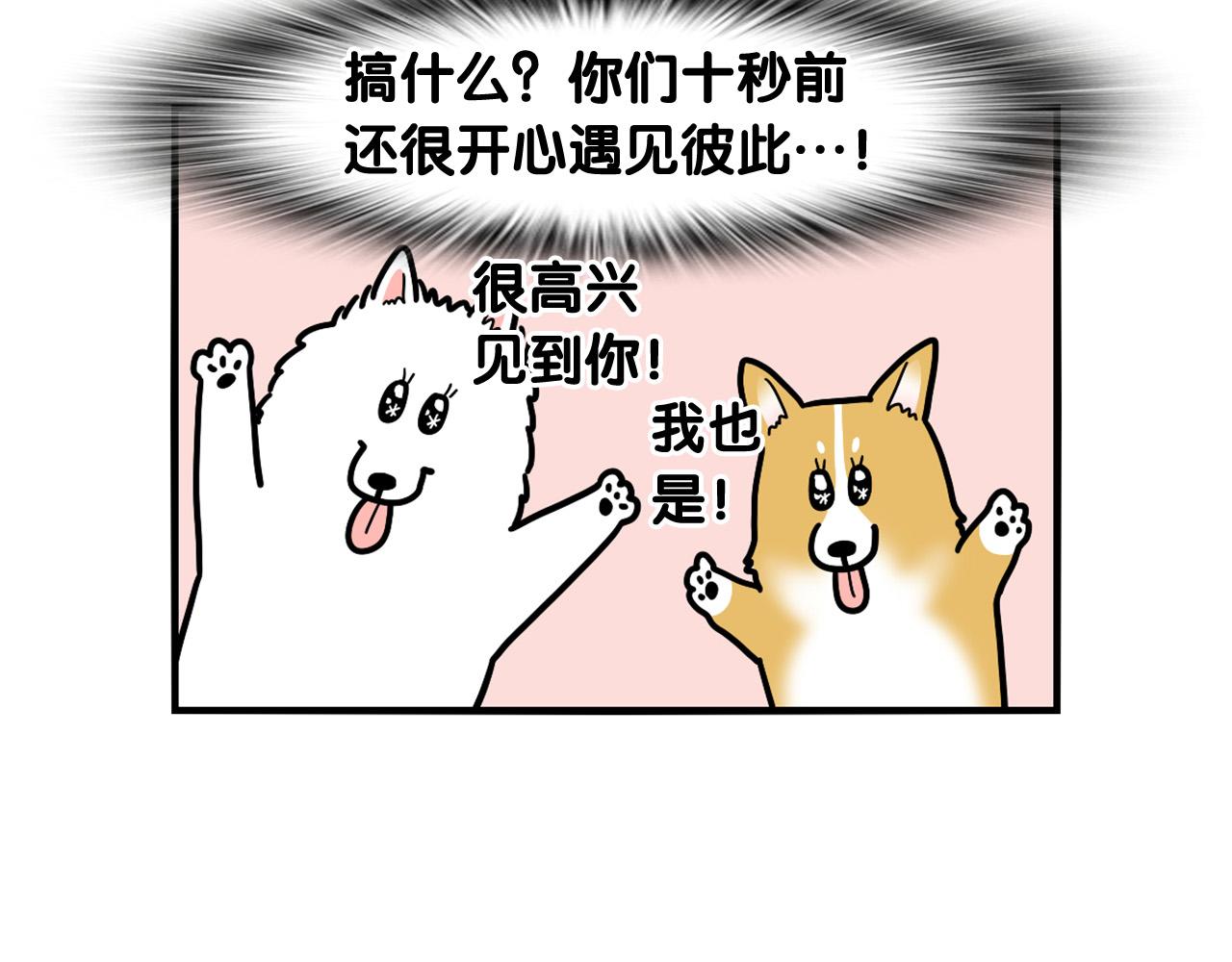 第10话 狗子也社交？(1/2)-第11话