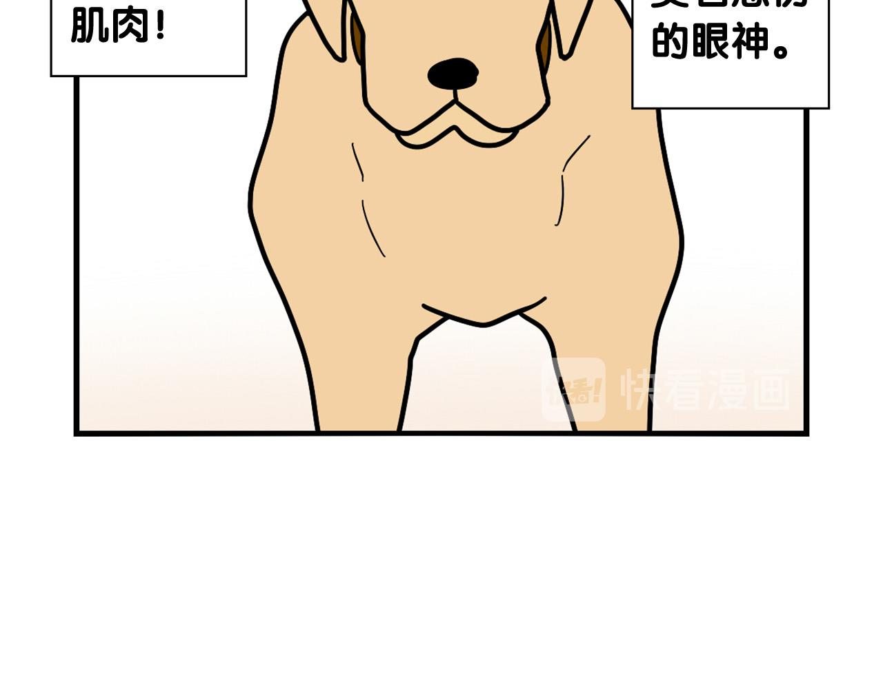 第10话 狗子也社交？(1/2)-第11话