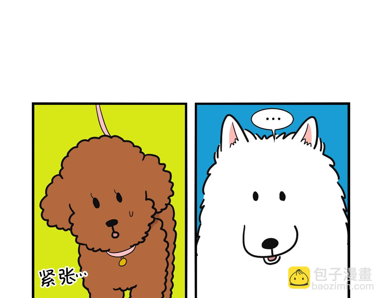 第10话 狗子也社交？(1/2)-第11话