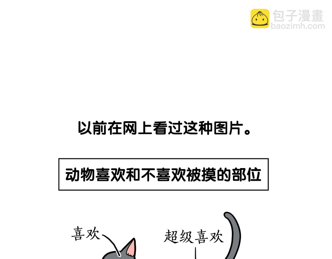 第12话 敏感部位(1/2)-第13话