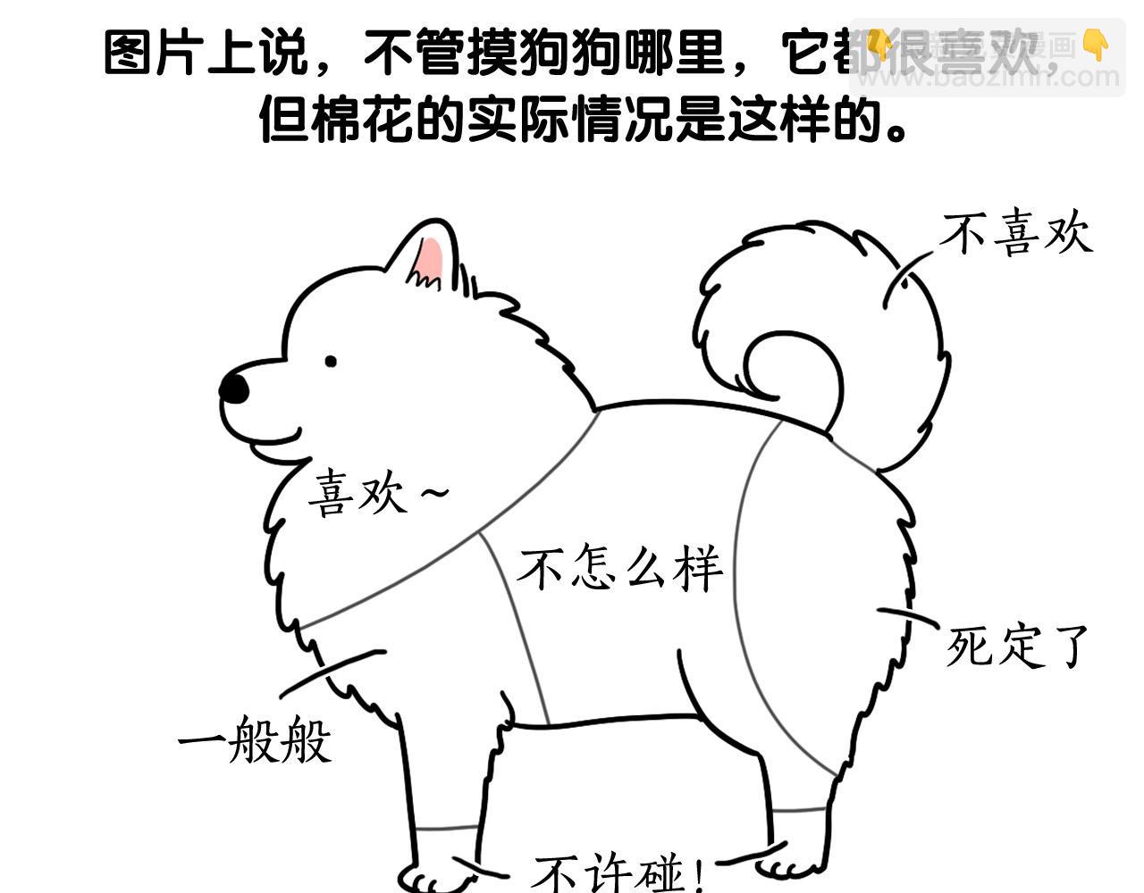 第12话 敏感部位(1/2)-第13话