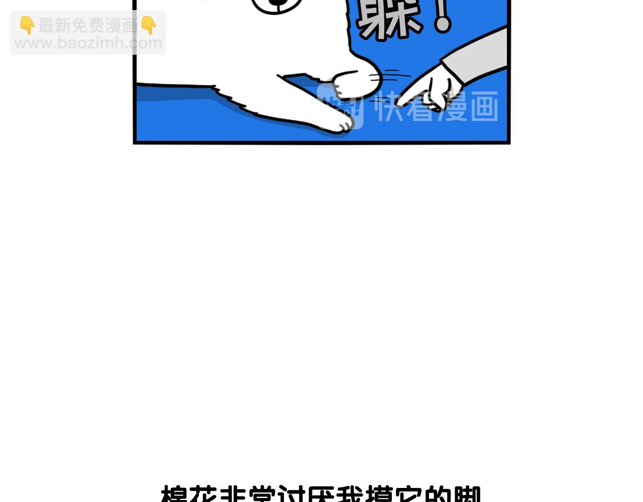 第12话 敏感部位(1/2)-第13话