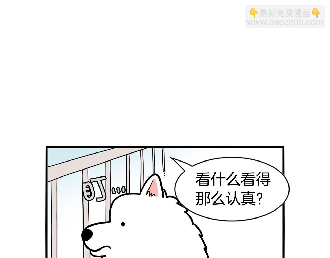 第16话 大狗的软肋(1/3)-第17话