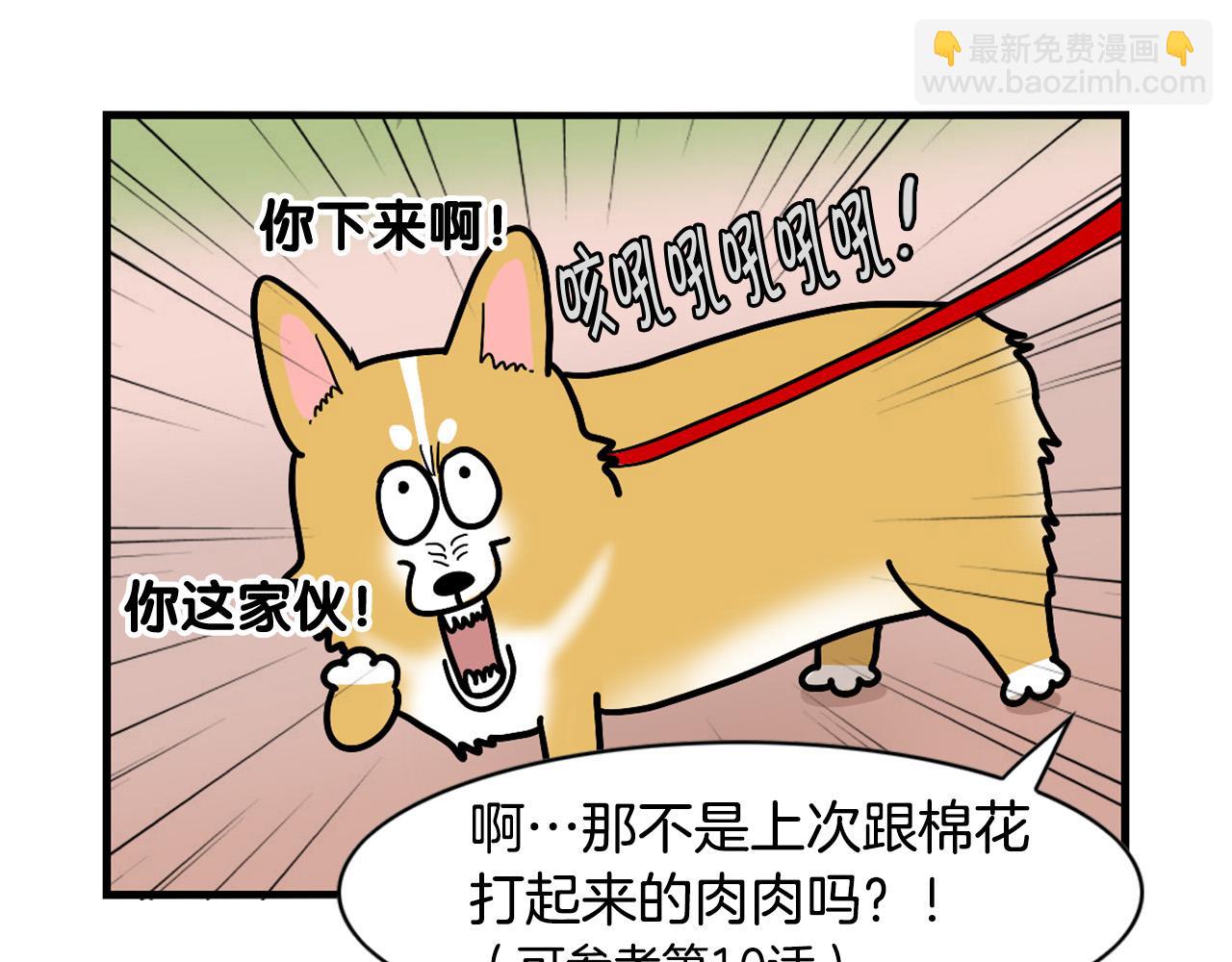 第16话 大狗的软肋(1/3)-第17话