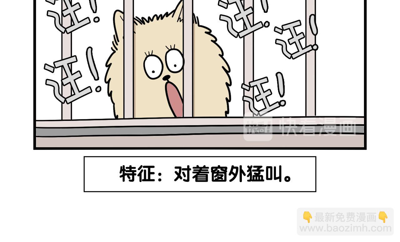 第16话 大狗的软肋(1/3)-第17话