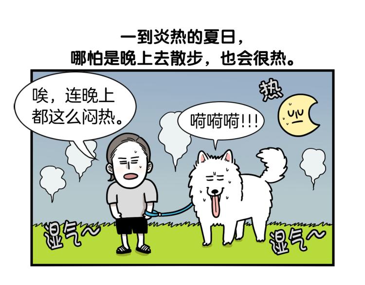 第18话 驱虫大作战(1/2)-第19话