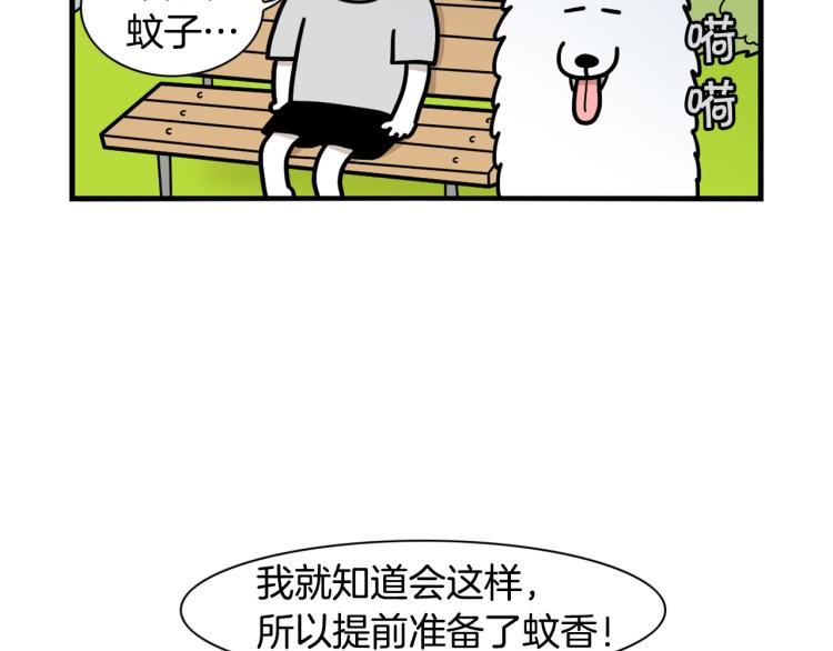 第18话 驱虫大作战(1/2)-第19话