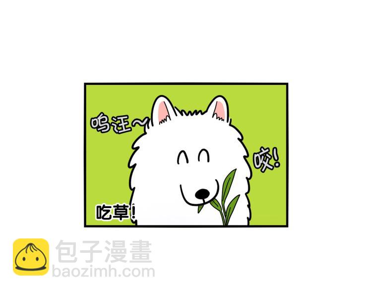 第18话 驱虫大作战(1/2)-第19话