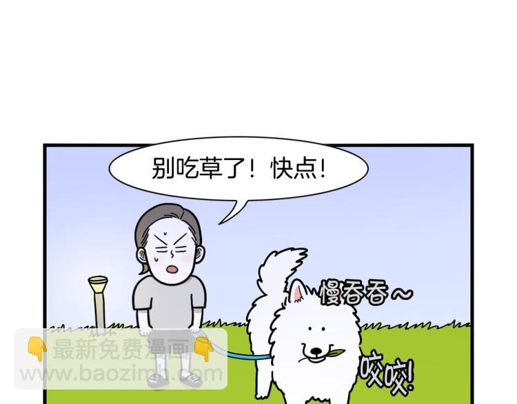 第18话 驱虫大作战(1/2)-第19话