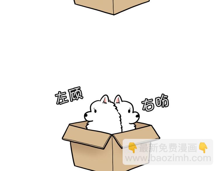 第20话 越大越好养？(1/2)-第21话