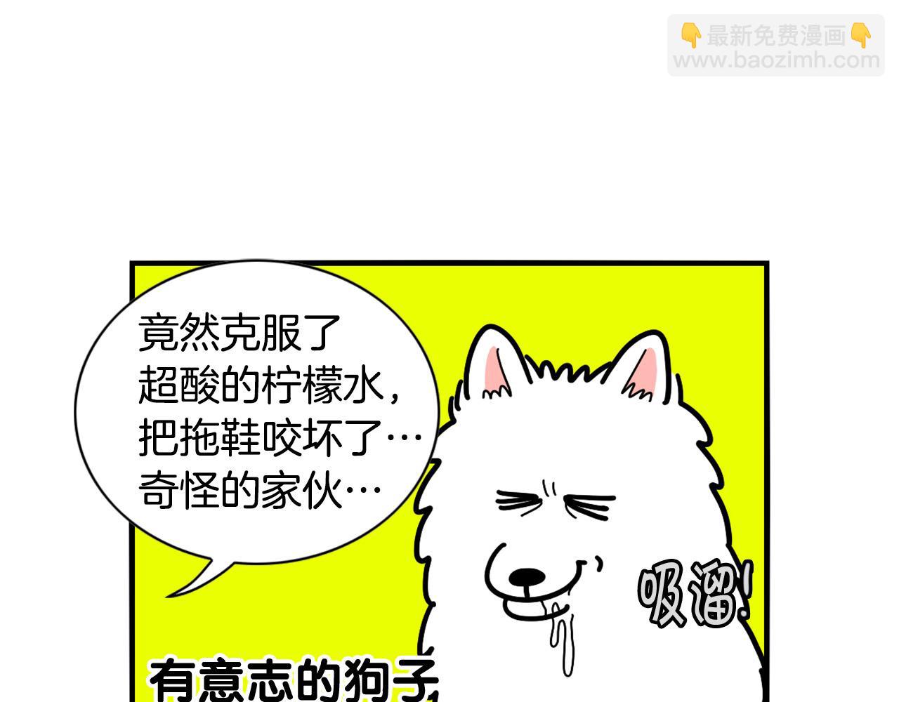 第22话 尝试偏方(1/2)-第23话