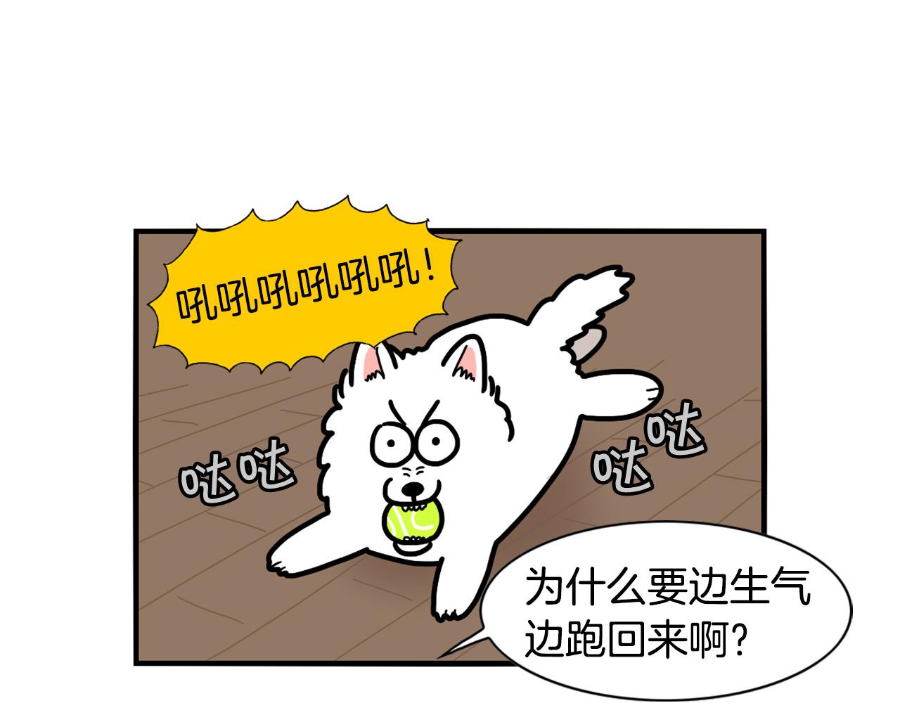 第24话 棉花的窝(1/3)-第25话