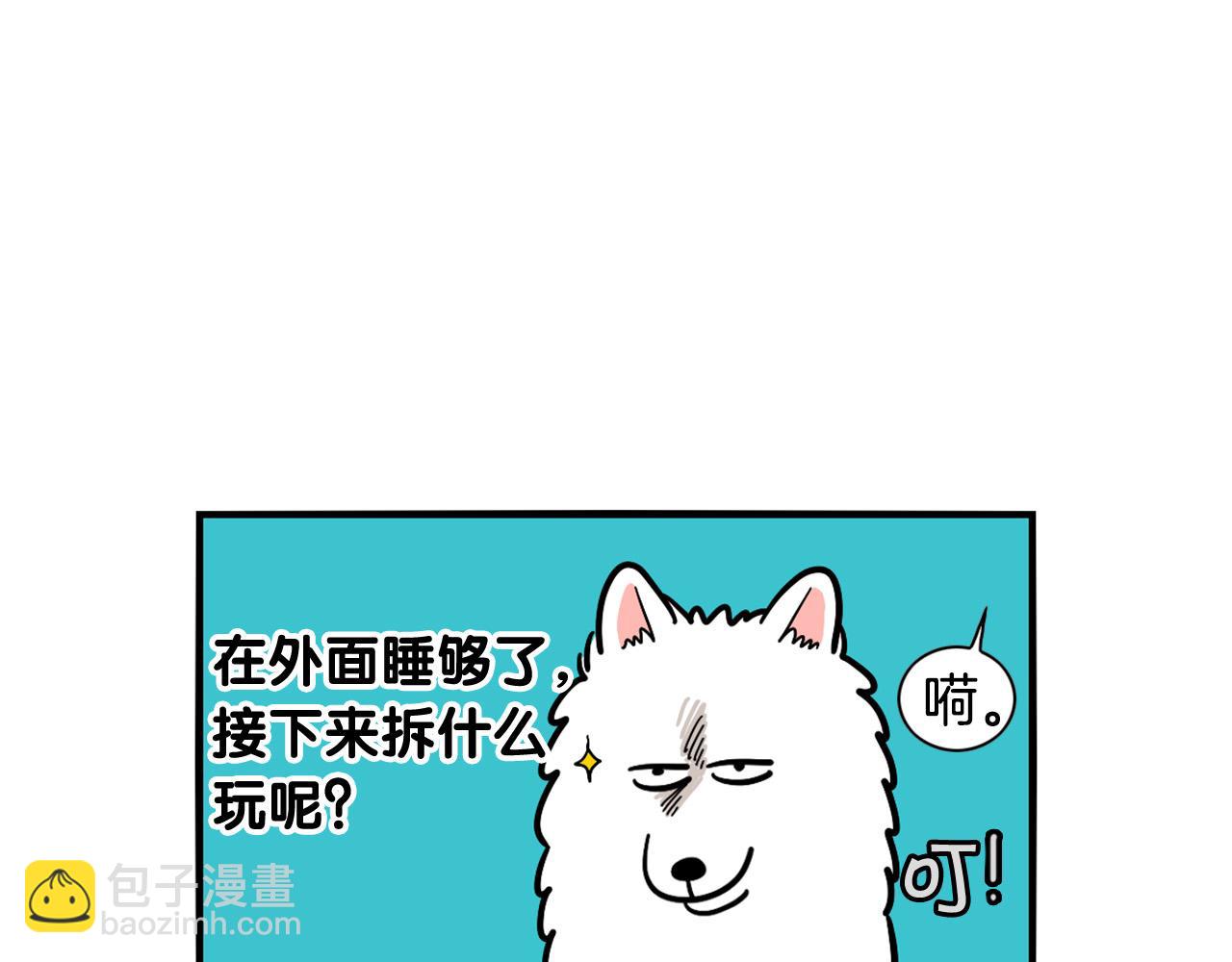 第24话 棉花的窝(1/3)-第25话