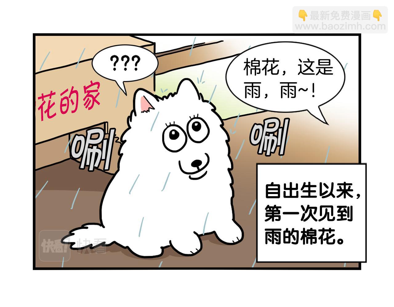 第24话 棉花的窝(1/3)-第25话