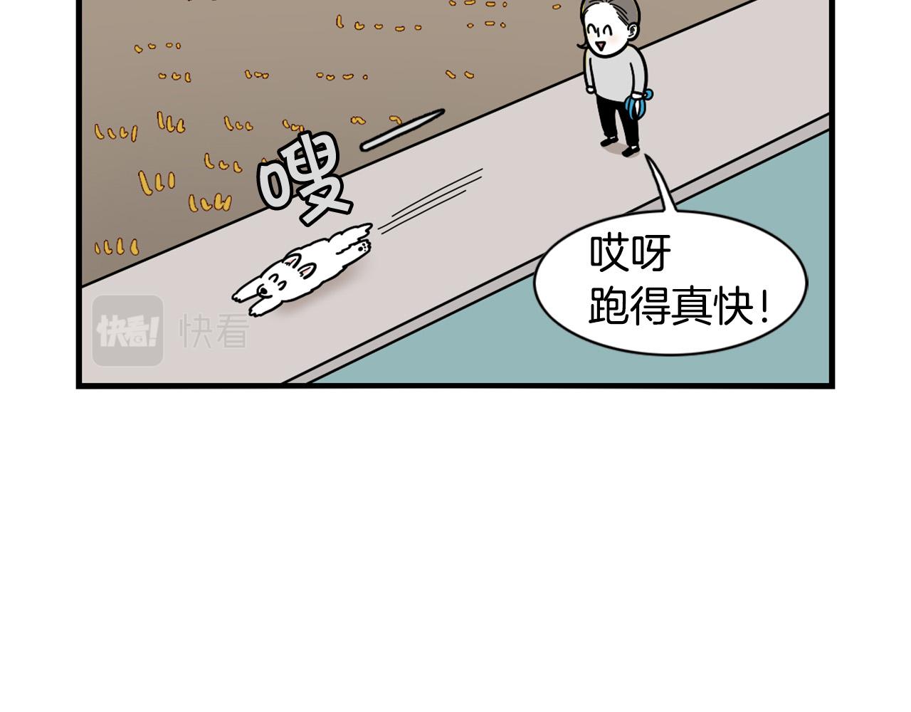 第28话 不牵狗绳的后果(1/3)-第29话