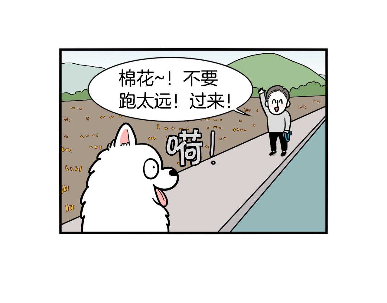 第28话 不牵狗绳的后果(1/3)-第29话