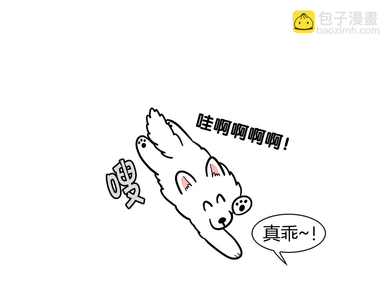 第28话 不牵狗绳的后果(1/3)-第29话