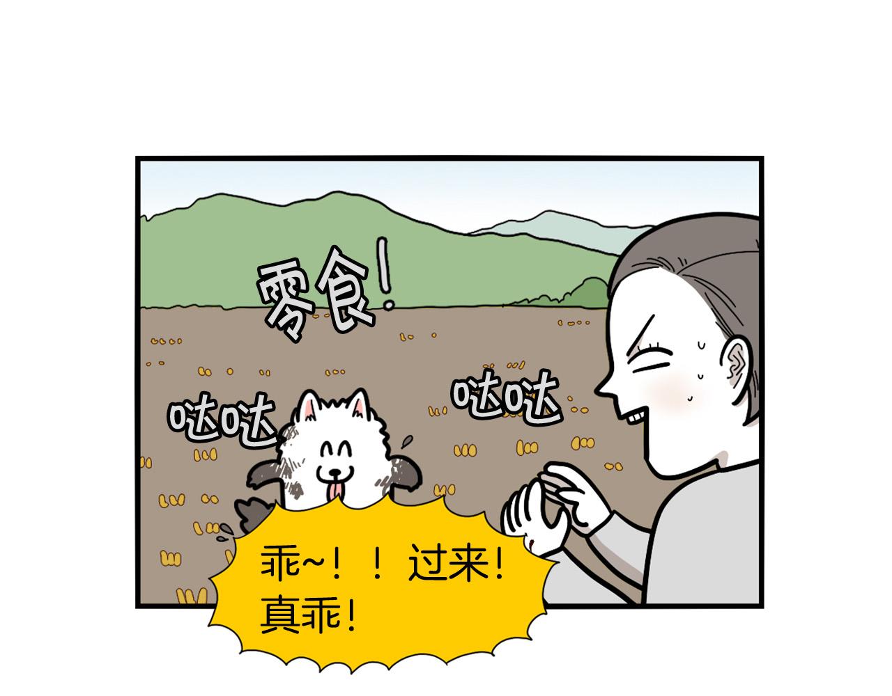 第28话 不牵狗绳的后果(1/3)-第29话