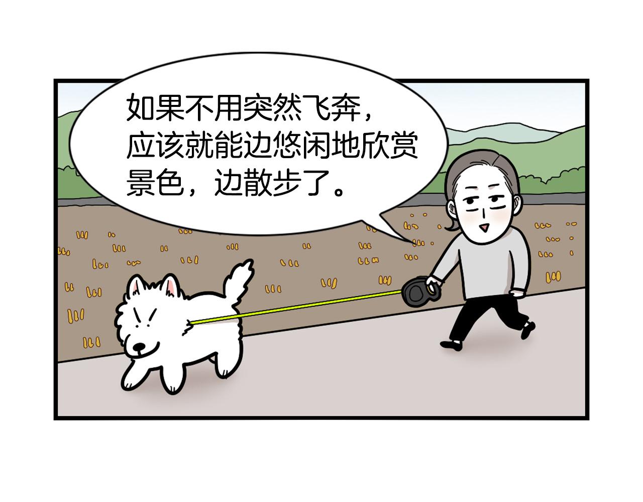 第28话 不牵狗绳的后果(1/3)-第29话