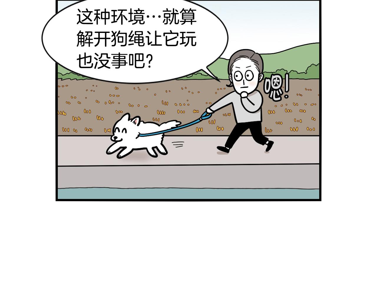 第28话 不牵狗绳的后果(1/3)-第29话
