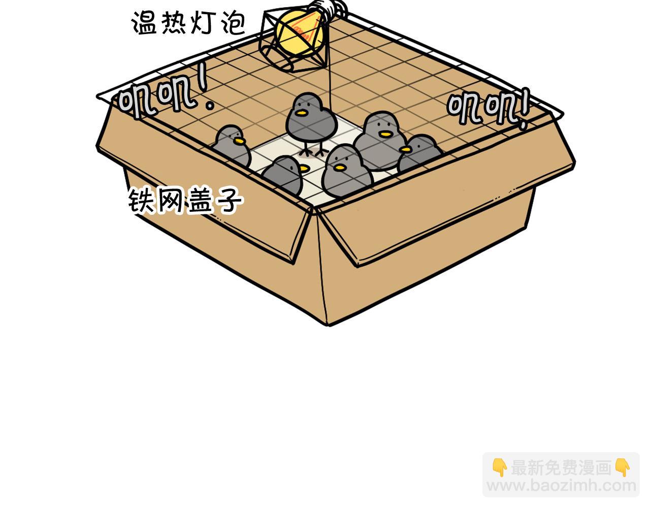 第32话 不适合做朋友(1/2)-第33话