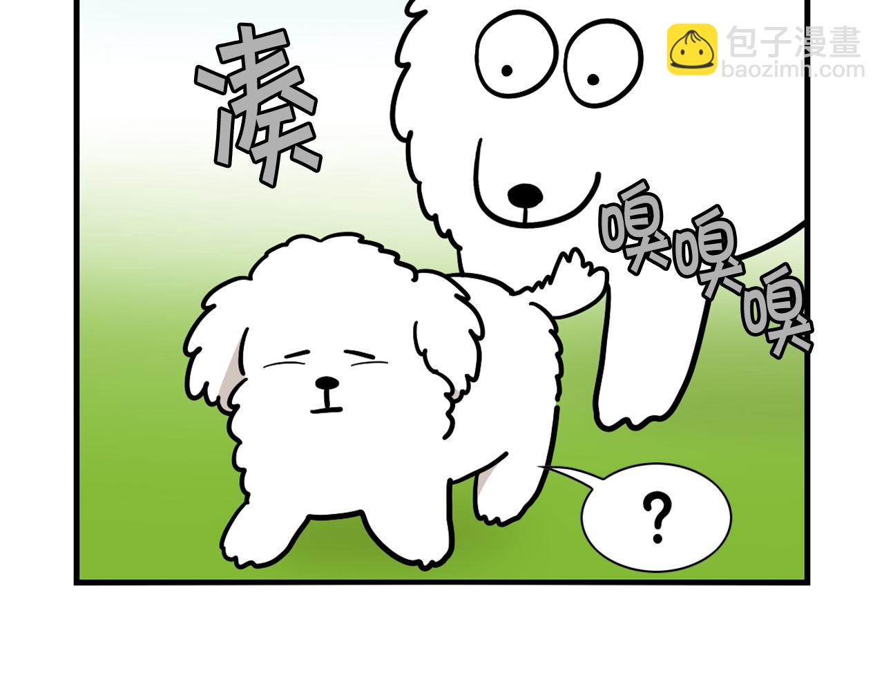 第36话 其他狗狗(1/2)-第37话