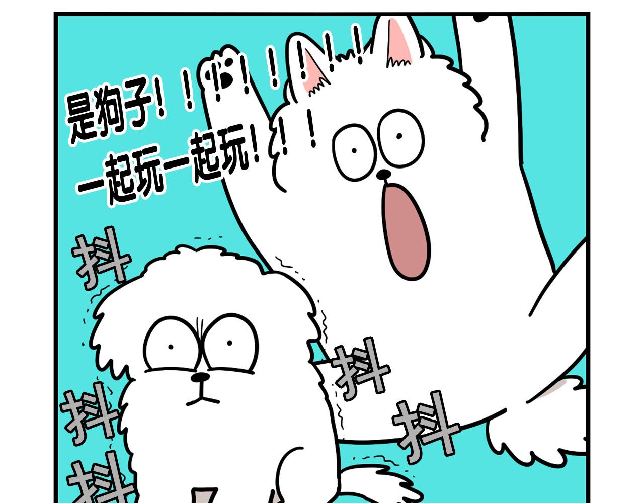 第36话 其他狗狗(1/2)-第37话