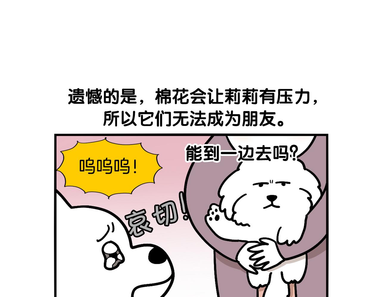 第36话 其他狗狗(1/2)-第37话