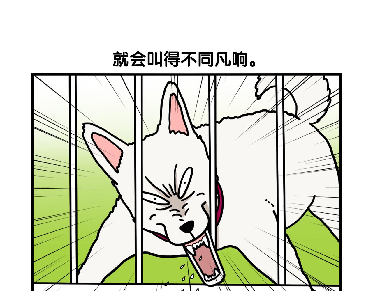 第36话 其他狗狗(1/2)-第37话