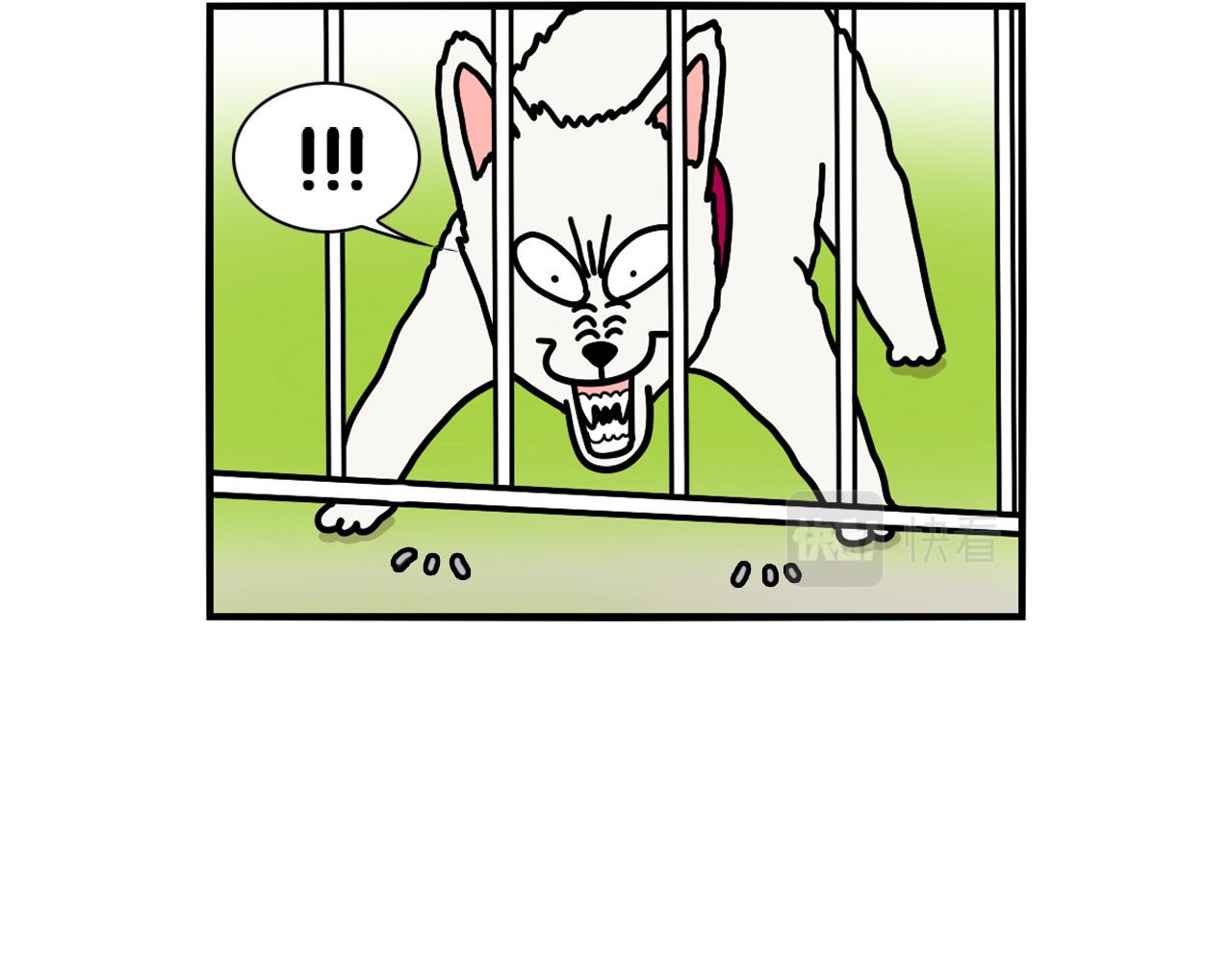 第36话 其他狗狗(1/2)-第37话