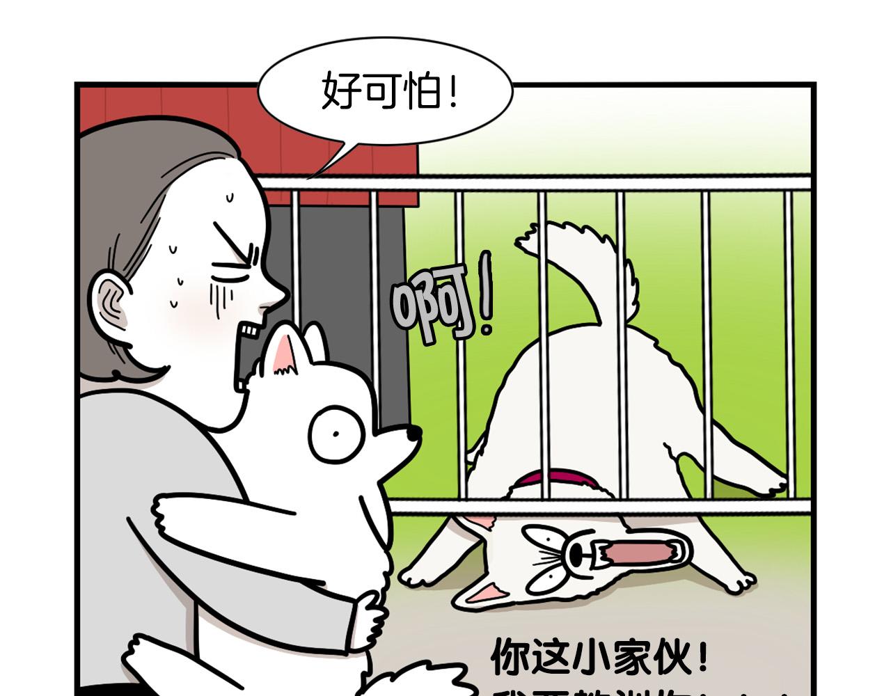 第36话 其他狗狗(1/2)-第37话