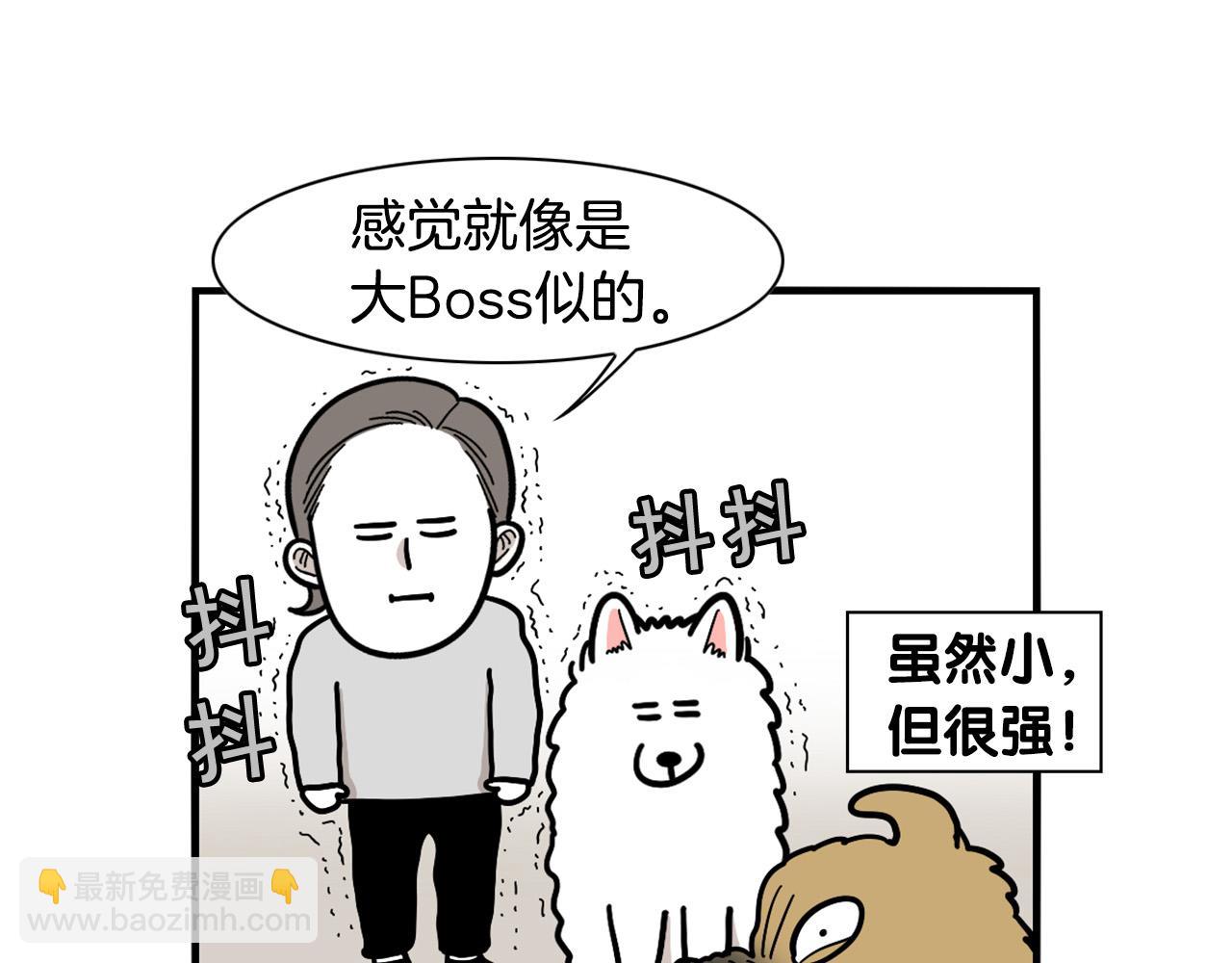 第36话 其他狗狗(1/2)-第37话