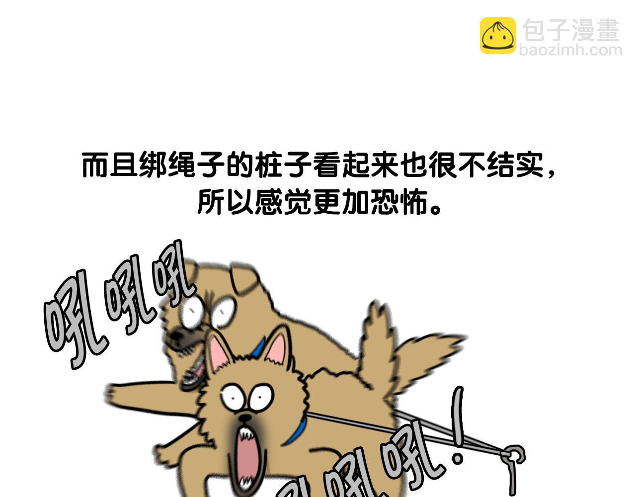 第36话 其他狗狗(1/2)-第37话