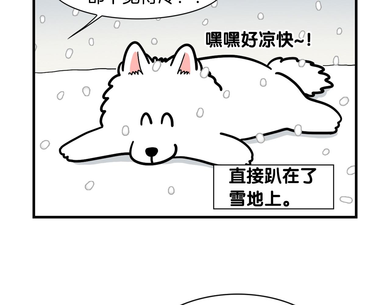 第38话 不怕冷(1/2)-第39话