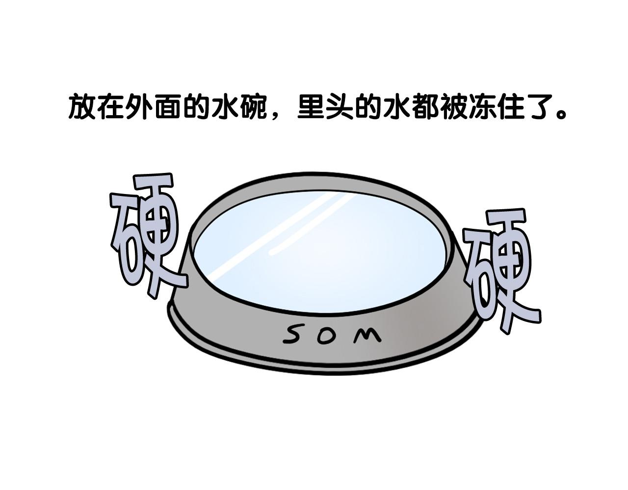 第38话 不怕冷(1/2)-第39话