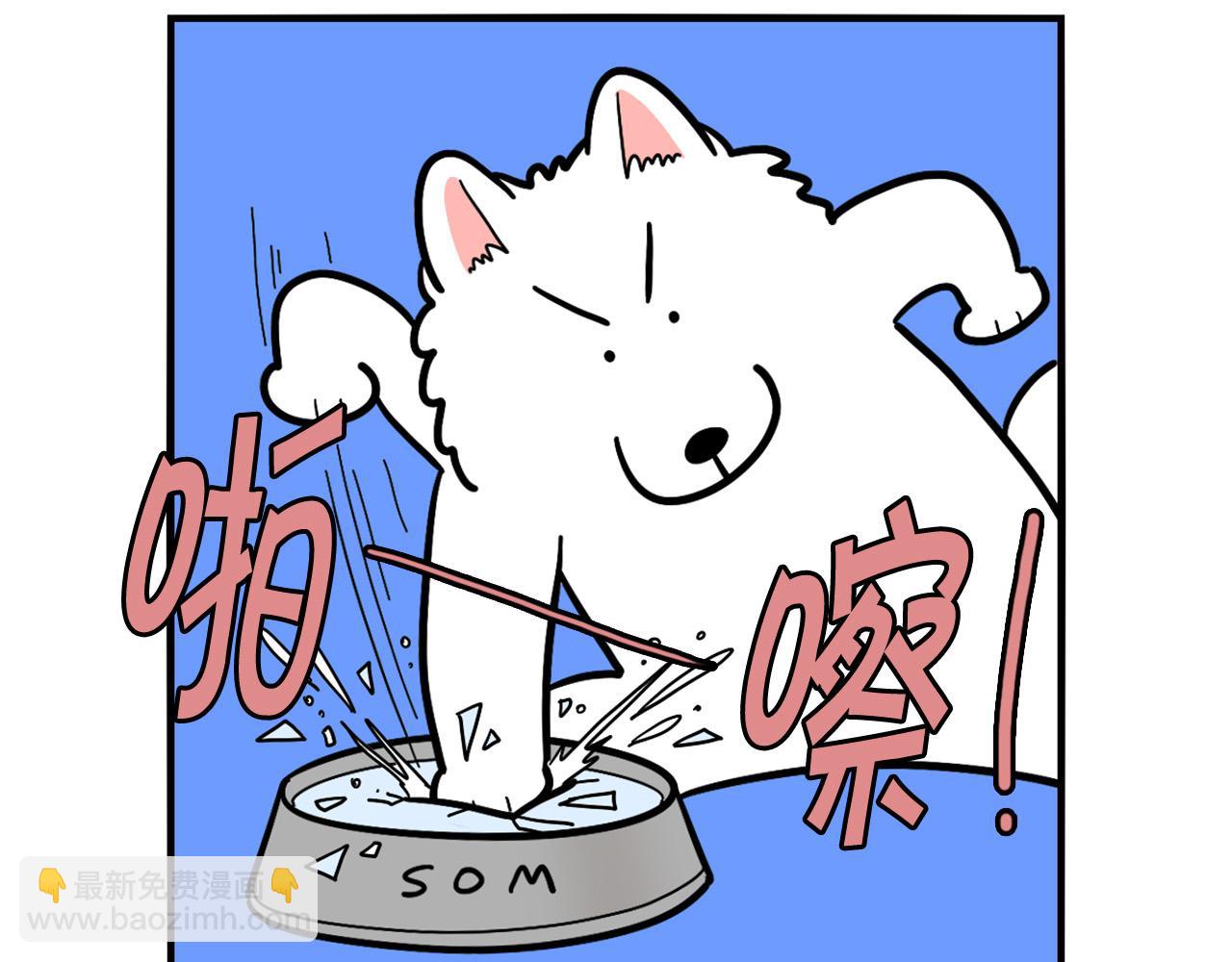 第38话 不怕冷(1/2)-第39话