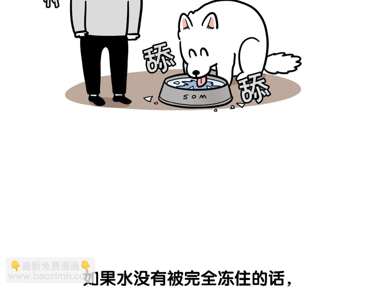 第38话 不怕冷(1/2)-第39话