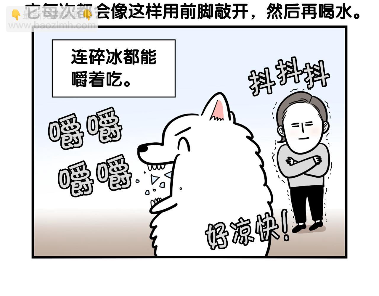 第38话 不怕冷(1/2)-第39话